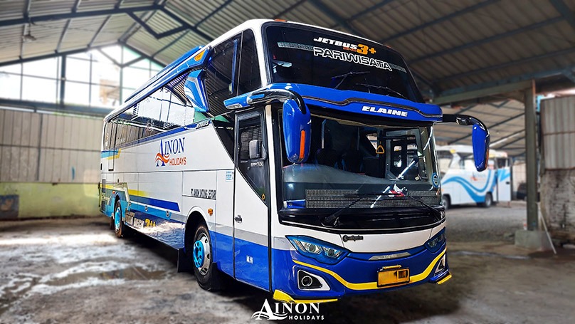 big-bus-50-seat-1